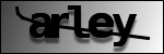 Text der identifiziert werden soll
